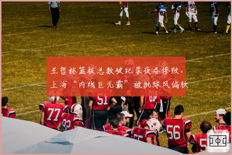 王哲林篮板总数破纪录夜吞惨败，上海“内线巨无霸”被批球风偏软